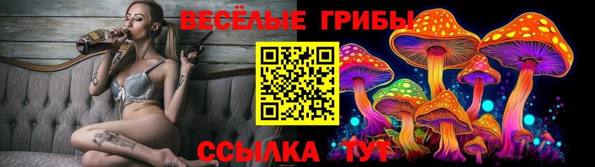 купить наркотик  Вход с VPN  Егорьевск  Галлюциногенные грибы мухоморы 
