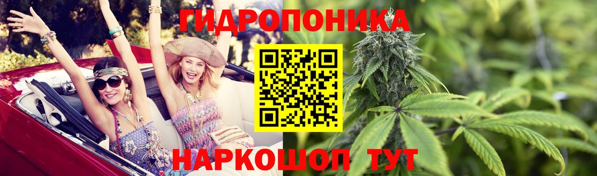 Конопля сатива Егорьевск